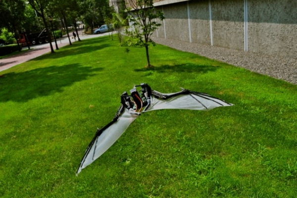Пока искусственная мышка летает только по прямой, а колебания её крыльев не превышают 4 мм. (Здесь и ниже фото Политехнического университета в Мадриде.)