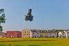 Представлен летающий робот-шпион, способный оставаться в воздухе вечно